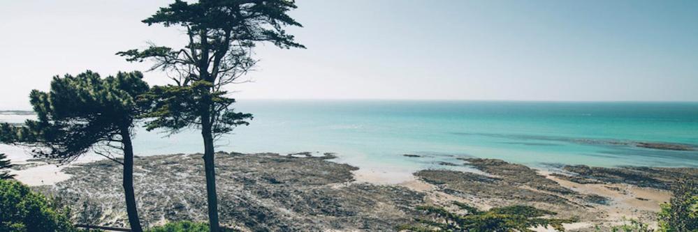 Les Iles Vue Sur Mer 阿贡科塔因维尔 外观 照片
